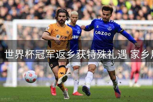 世界杯冠军返乡获特殊礼遇 家乡用番茄山致敬加维法比安