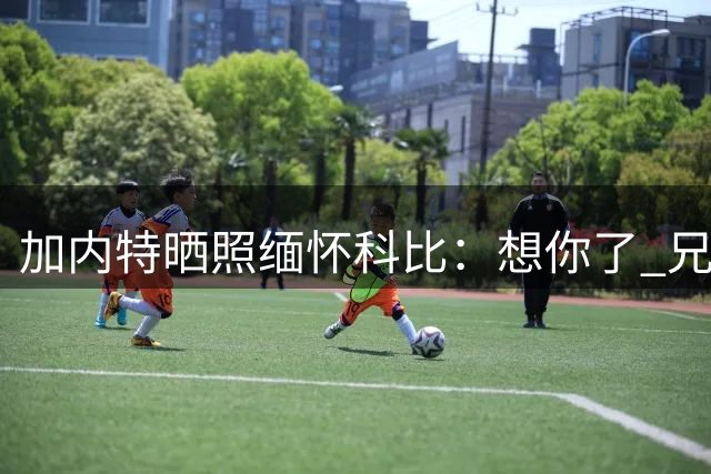 加内特晒照缅怀科比：想你了 兄弟