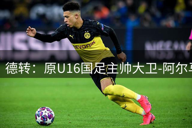 德转：原U16国足主帅大卫-阿尔马赞执教深圳青年人