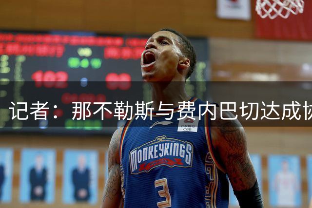 记者：那不勒斯与费内巴切达成协议，将接受卢卡库700万欧报价
