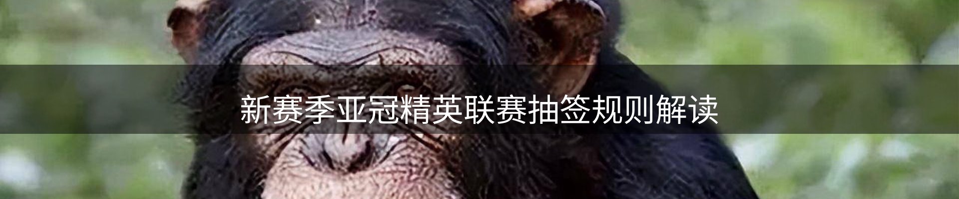 品牌资讯