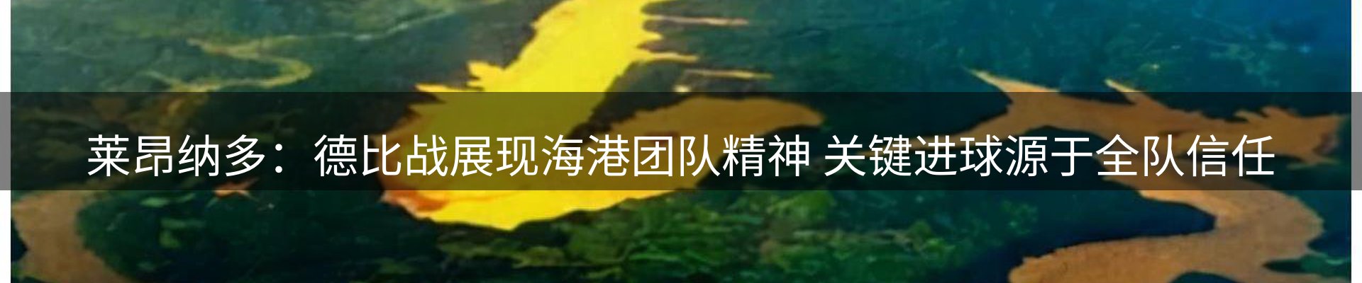 品牌资讯