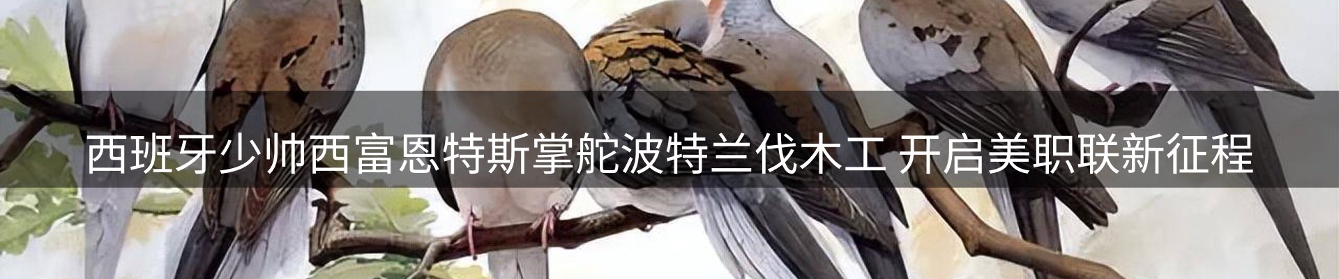 品牌资讯